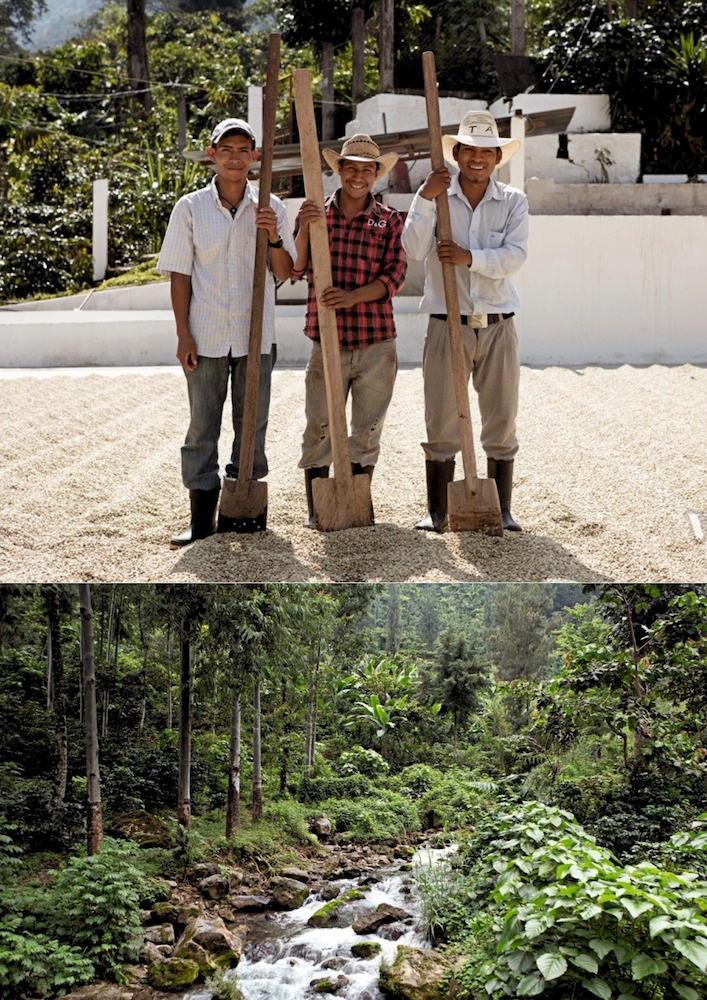 region Gwatemala Huehuetenango